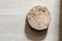 Vinilam Click 3.7мм 8855 Дуб Штур фото 7 | FLOORDEALER